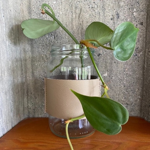 Leather Handcrafted “Coliseum” Propagation Vase - Picture 11 of 11